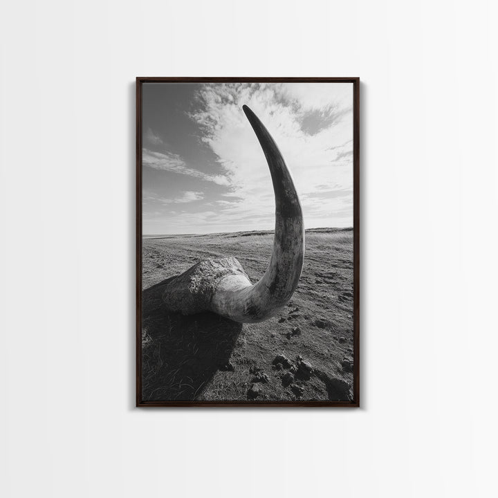 Lone Horn, desert minimalism, rustic western art, wabi sabi decor, moody photography, framed canvas print, black and white, southwest art