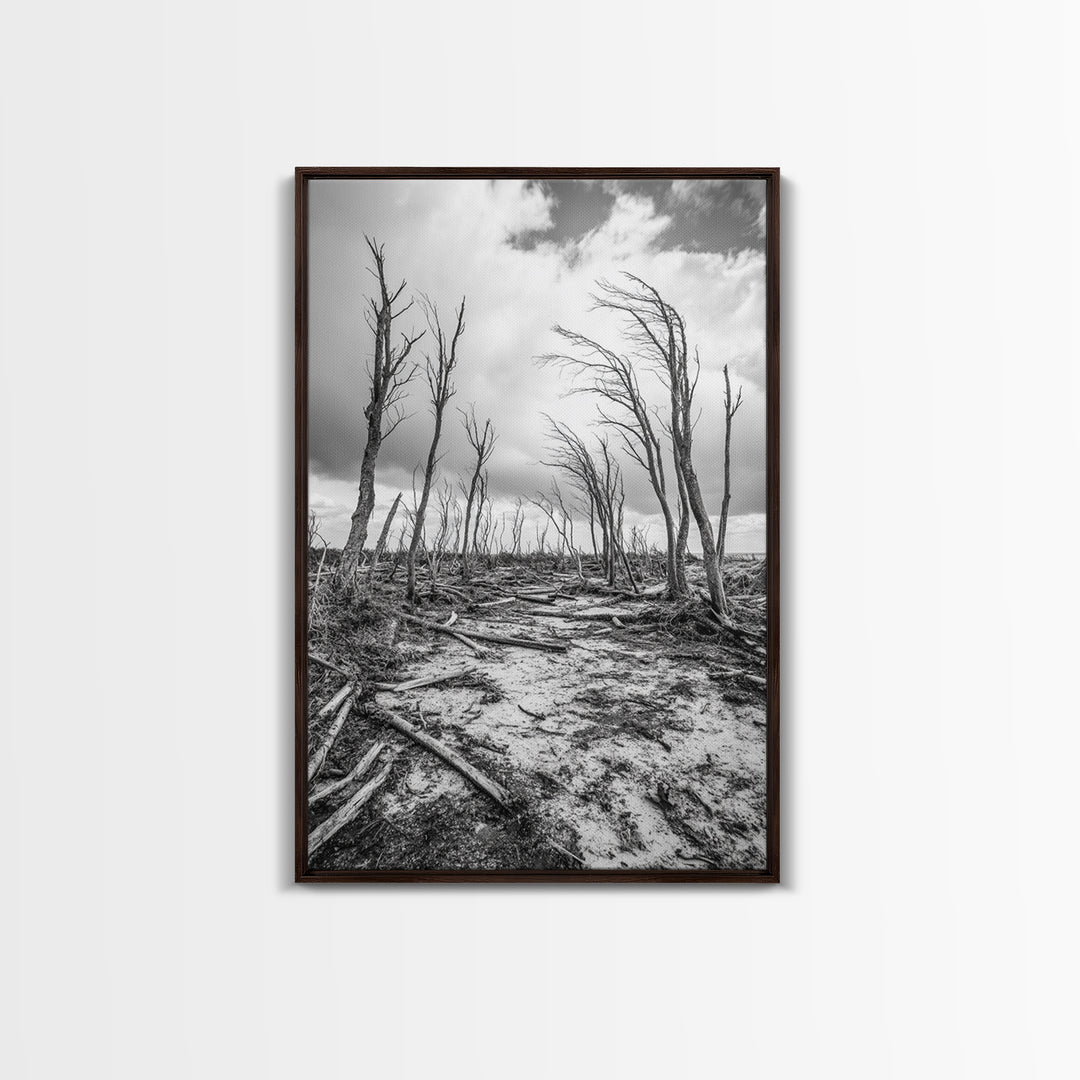 Windblown Trees, stormy sky, moody landscape, wabi sabi art, black and white, framed canvas print, rustic decor, nature photography