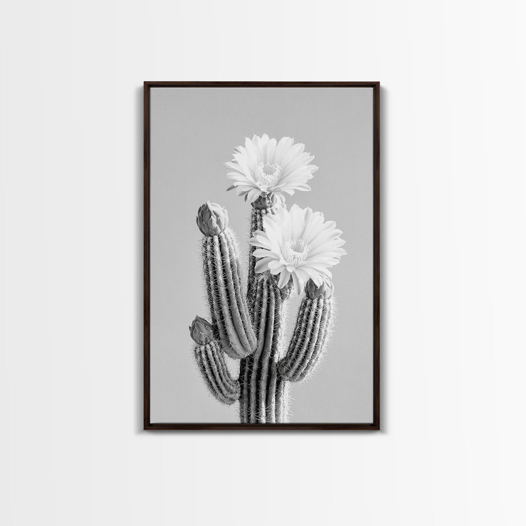 Cactus Bloom, desert botanical, minimalist art, black and white, southwest wall art, framed canvas print, vertical wall art, moody art
