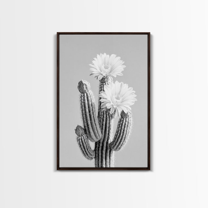Cactus Bloom, desert botanical, minimalist art, black and white, southwest wall art, framed canvas print, vertical wall art, moody art
