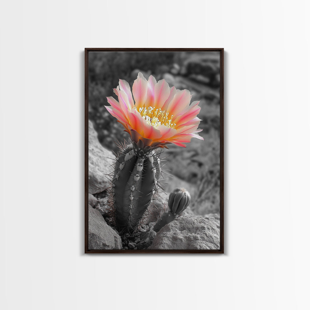 Blooming cactus, botanical print, desert flora, framed canvas print, nature decor, succulent wall art, pink flowers, southwest painting
