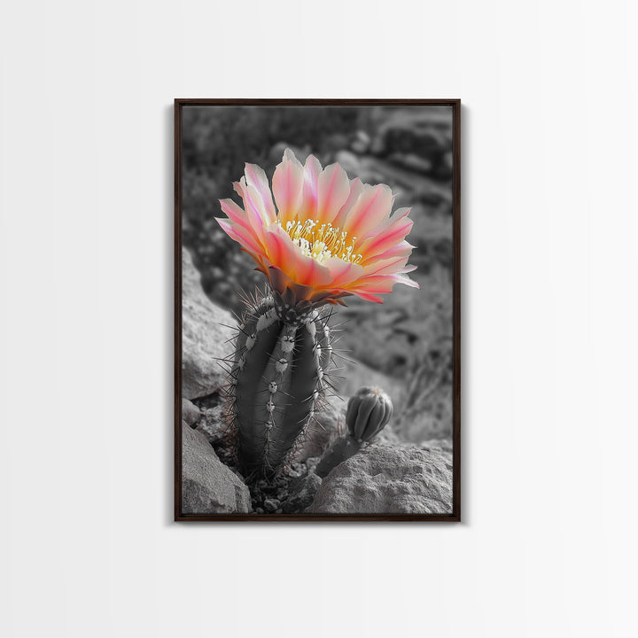 Blooming cactus, botanical print, desert flora, framed canvas print, nature decor, succulent wall art, pink flowers, southwest painting