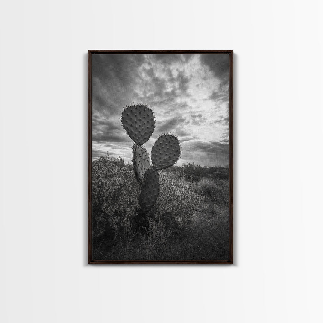 Prickly Pear, cactus art, Joshua tree art, wabi sabi art, moody art, black and white, framed canvas print, minimalist decor, rustic wall art