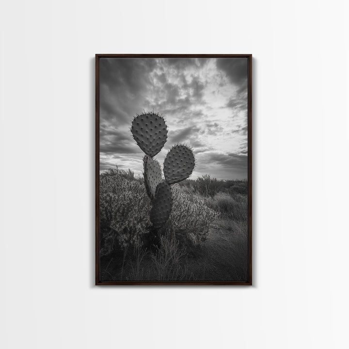 Prickly Pear, cactus art, Joshua tree art, wabi sabi art, moody art, black and white, framed canvas print, minimalist decor, rustic wall art