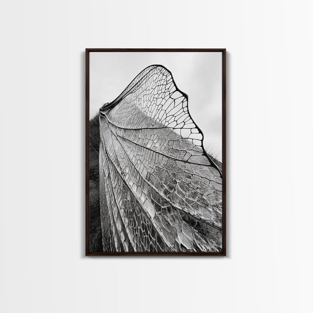 Dragonfly Wing, nature photography, moody art, wabi sabi art, minimalist art, botanical prints, framed canvas print, rustic wall art