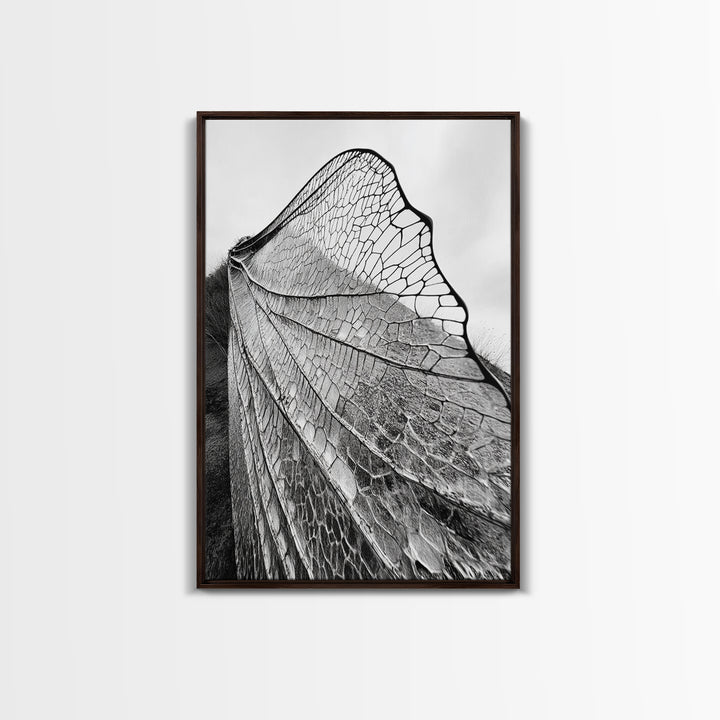 Dragonfly Wing, nature photography, moody art, wabi sabi art, minimalist art, botanical prints, framed canvas print, rustic wall art