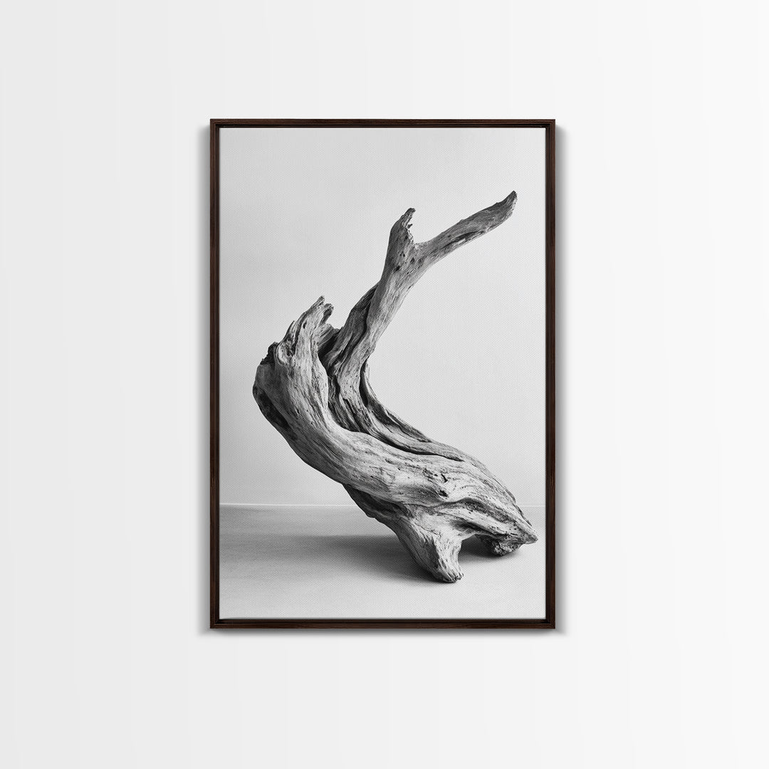 Driftwood Sculpture, wabi sabi art, rustic decor, minimalist art, botanical prints, farmhouse art, framed canvas print, living room art