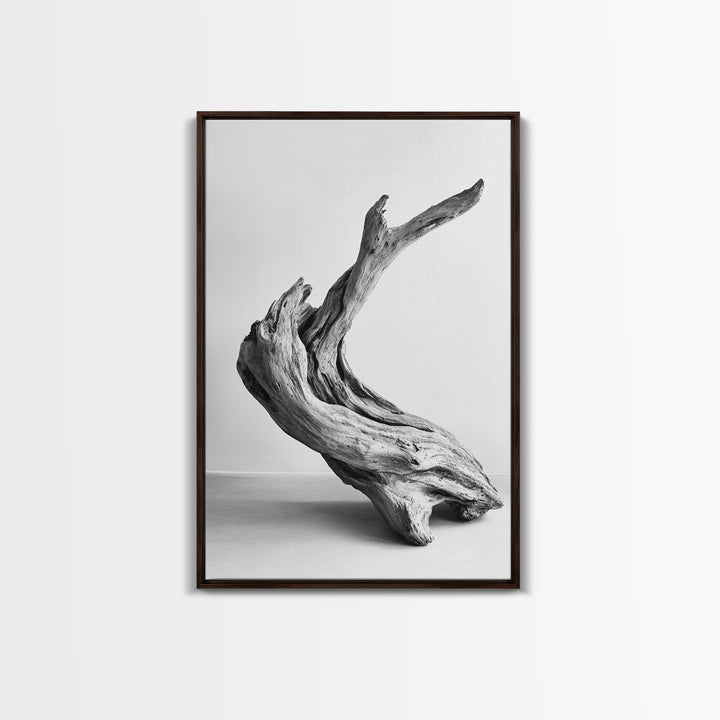 Driftwood Sculpture, wabi sabi art, rustic decor, minimalist art, botanical prints, farmhouse art, framed canvas print, living room art