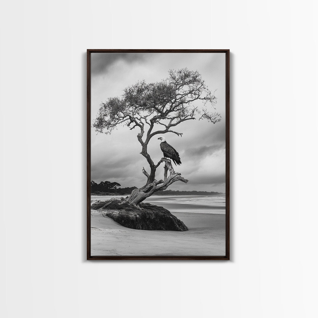 Bald eagle, nature wall art, moody art, wildlife photography, tree art, black and white art, above bed wall art, framed canvas print