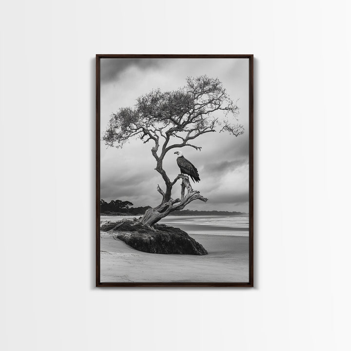 Bald eagle, nature wall art, moody art, wildlife photography, tree art, black and white art, above bed wall art, framed canvas print