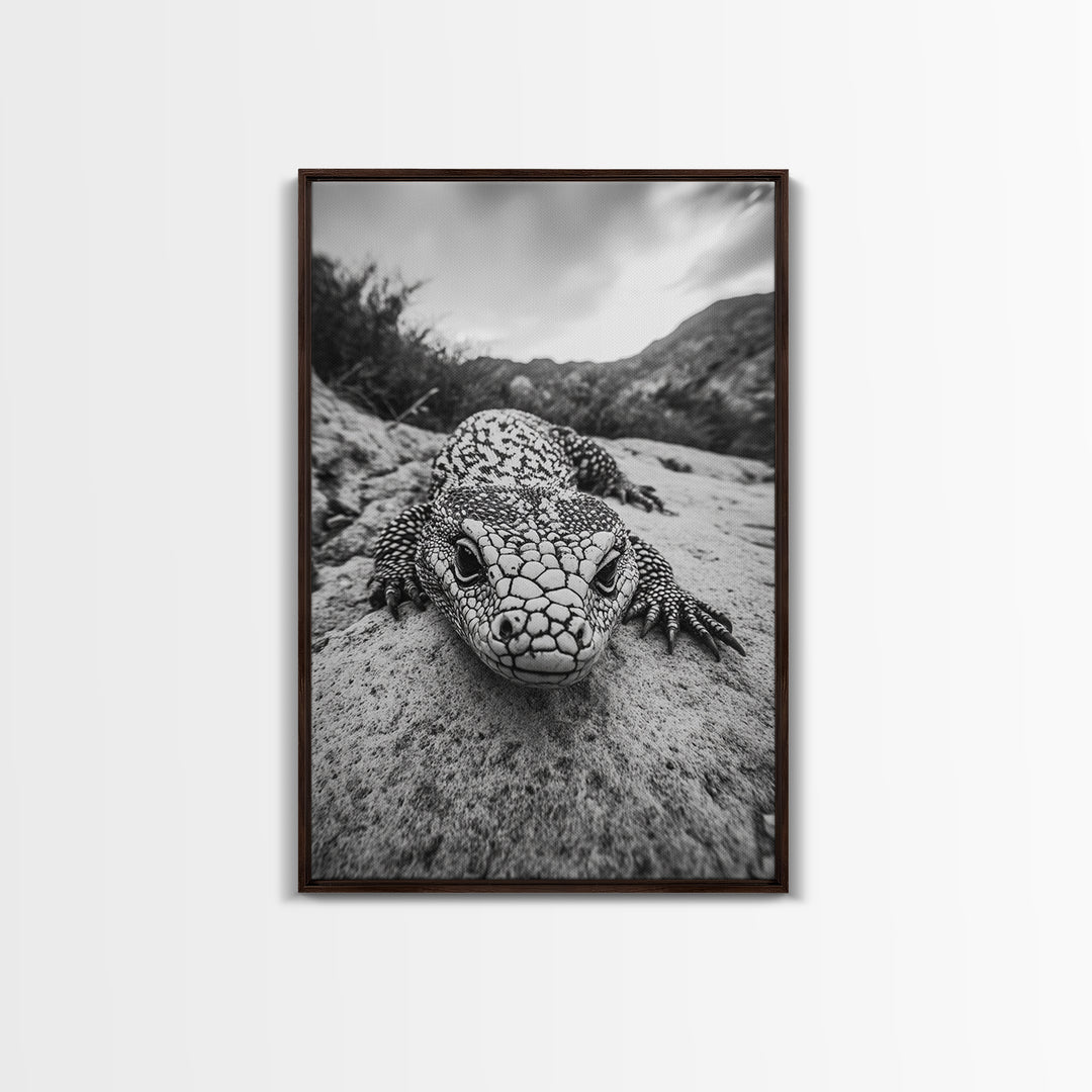 Lizard art, wildlife photography, moody art, desert decor, black and white photography, wabi sabi wall art, framed canvas print, unique gift