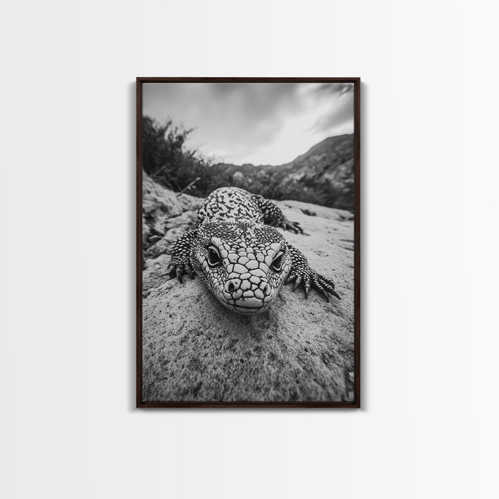Lizard art, wildlife photography, moody art, desert decor, black and white photography, wabi sabi wall art, framed canvas print, unique gift