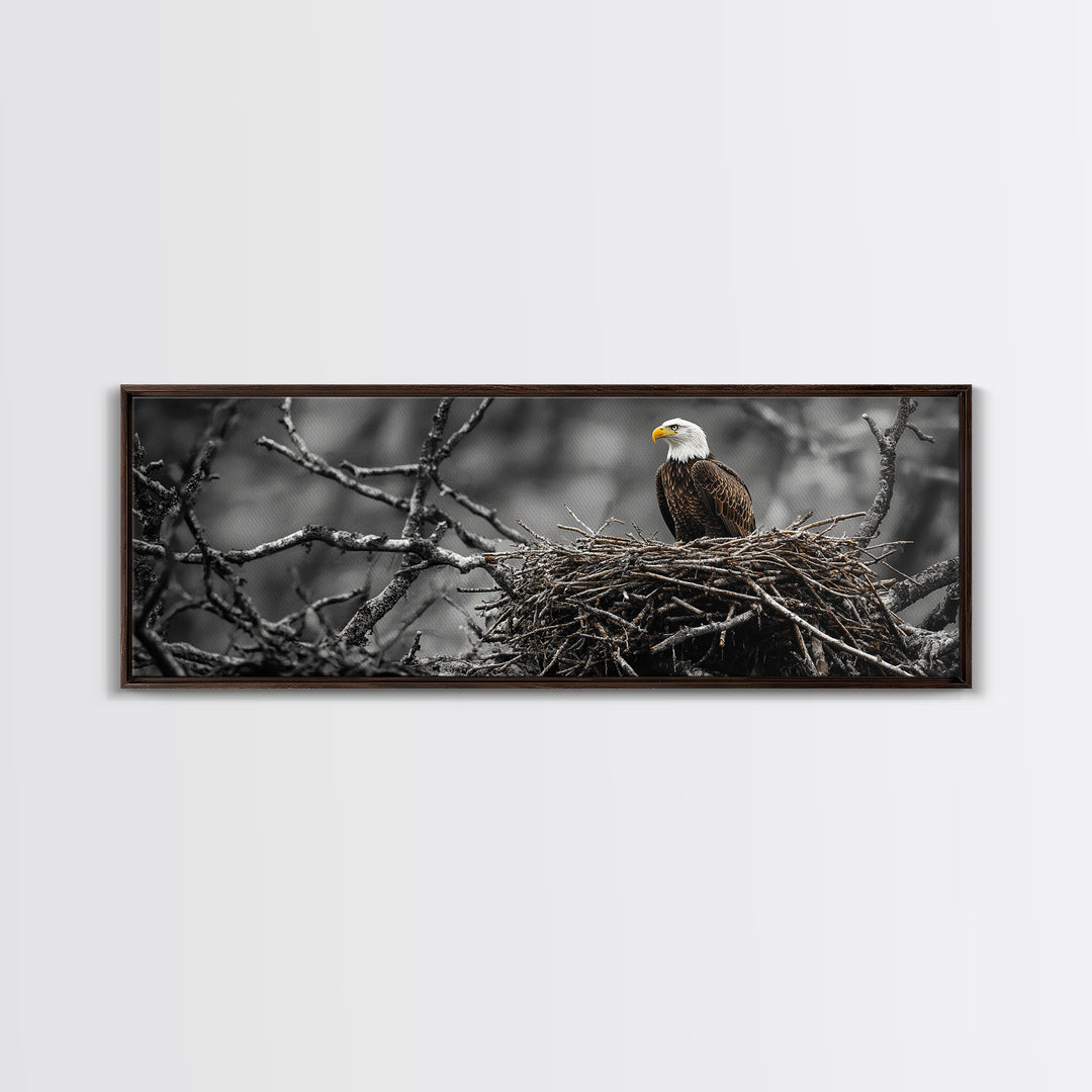 Bald Eagle, Nature Wall Art, Rustic Art, Wildlife Photography, Bird Art, Above Sofa Art, Panoramic Art, Framed Canvas Print