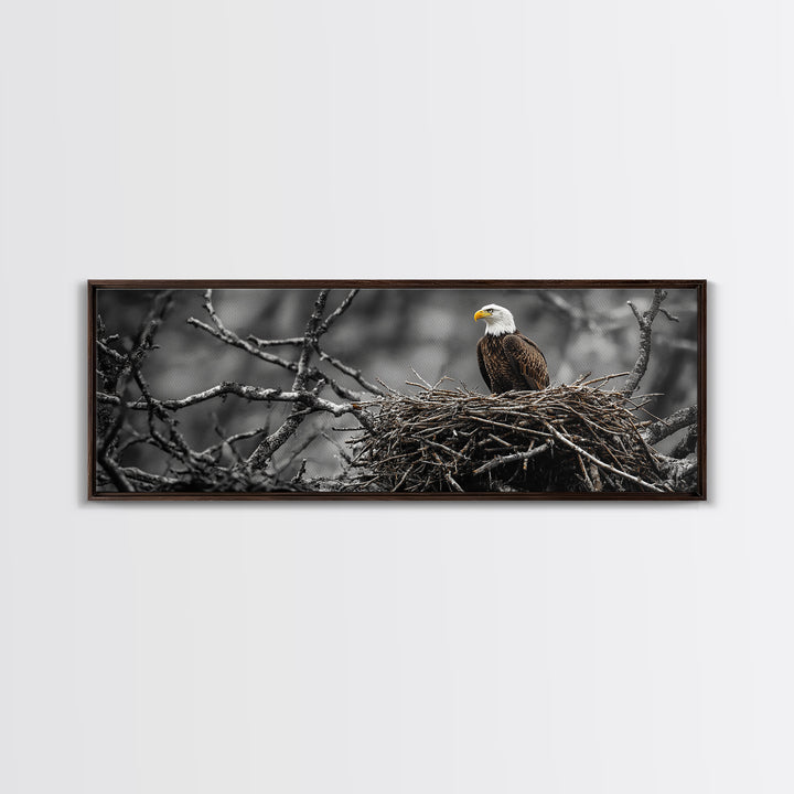 Bald Eagle, Nature Wall Art, Rustic Art, Wildlife Photography, Bird Art, Above Sofa Art, Panoramic Art, Framed Canvas Print