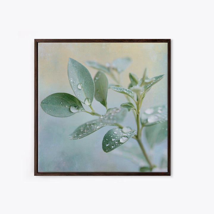 Rain on Leaves Framed Canvas Print, Spa Art, Art Print, Spa Decor, Serenity, Botanical Art, Nature Prints, Travel Poster, SPA-1x1-40