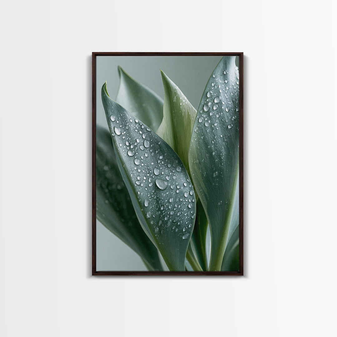 Rain on Leaves Framed Canvas Print, Spa Art, Modern Decor, Spa Decor, Fine Art, Serenity, Wall Decor, Printable Wall Art, SPA-2x3-24