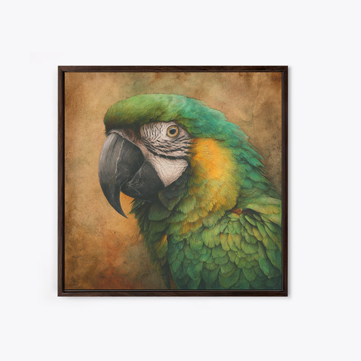 Parrot Portrait with Emerald Feathers Framed Canvas Print, Tropical Art, Gallery Decor, Living Room Decor, Fine Art, Tropic, TRO-1x1-32