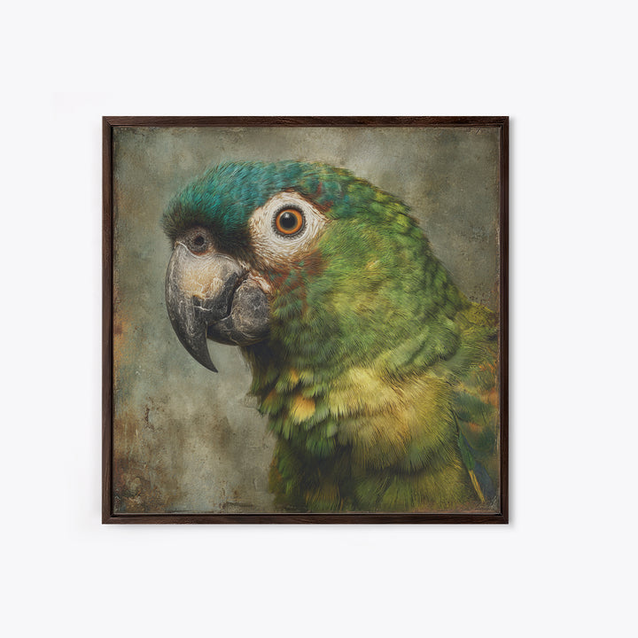 Parrot Portrait with Emerald Feathers Framed Canvas Print, Tropical Art, Digital Print, Living Room Decor, Fine Art, Tropic, TRO-1x1-56