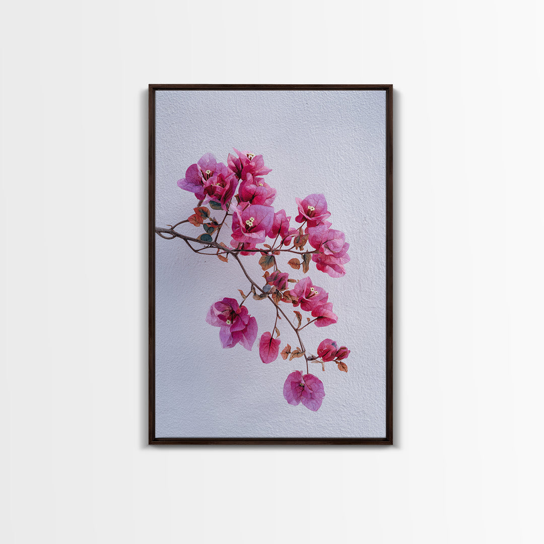 Pink Bougainvillea over White Wall Framed Canvas Print, Tropical Art, Modern Decor, Living Room Decor, Fine Art, Tropic, TRO-2x3-24