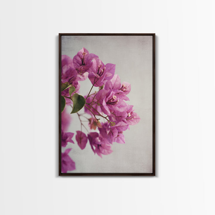 Pink Bougainvillea over White Wall Canvas Print, Tropical Art, Abstract Painting, Living Room Decor, Fine Art, Tropic, TRO-2x3-96