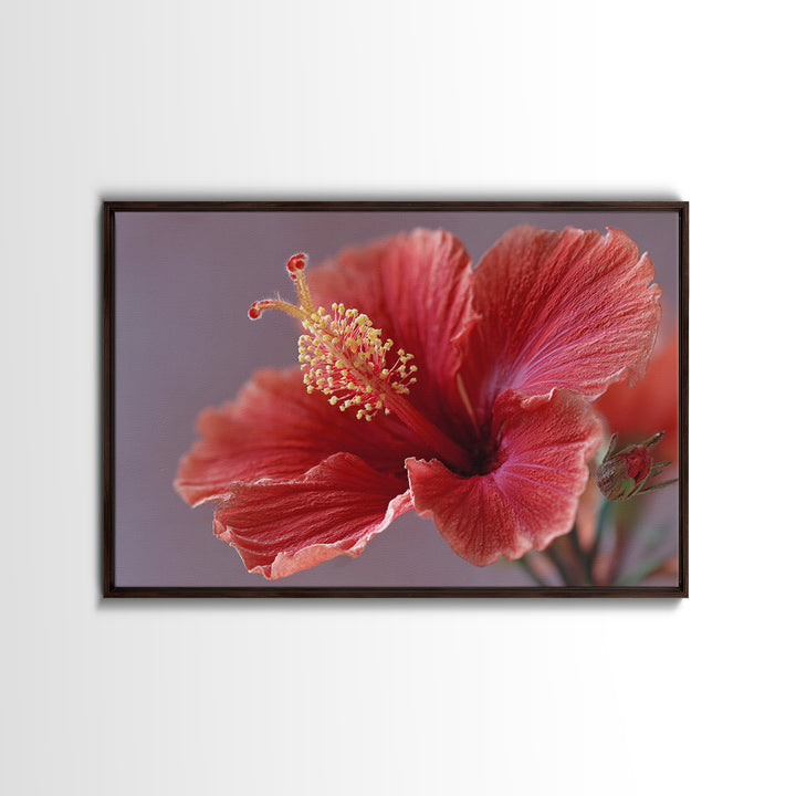 Hibiscus Flower Closeup Framed Canvas Print, Tropical Art, Fine Art Print, Living Room Decor, Watercolor Art, Tropic, TRO-3x2-81