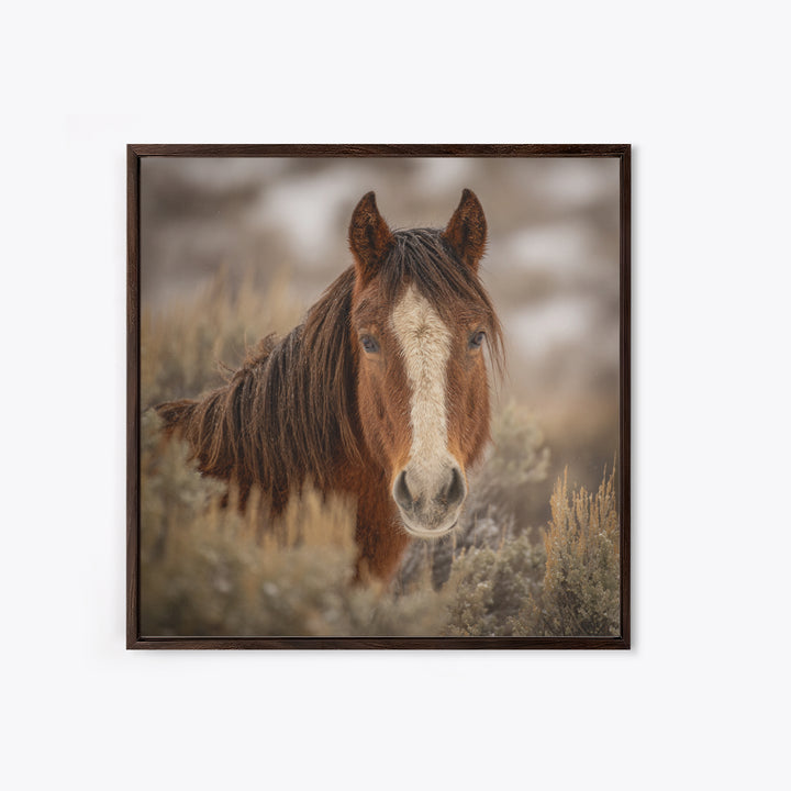 Wild Horse Portrait Framed Canvas Print, Wall Art, Boho Decor, Living Room Decor, Fine Art, Painting, Art Print, WAL-1x1-37