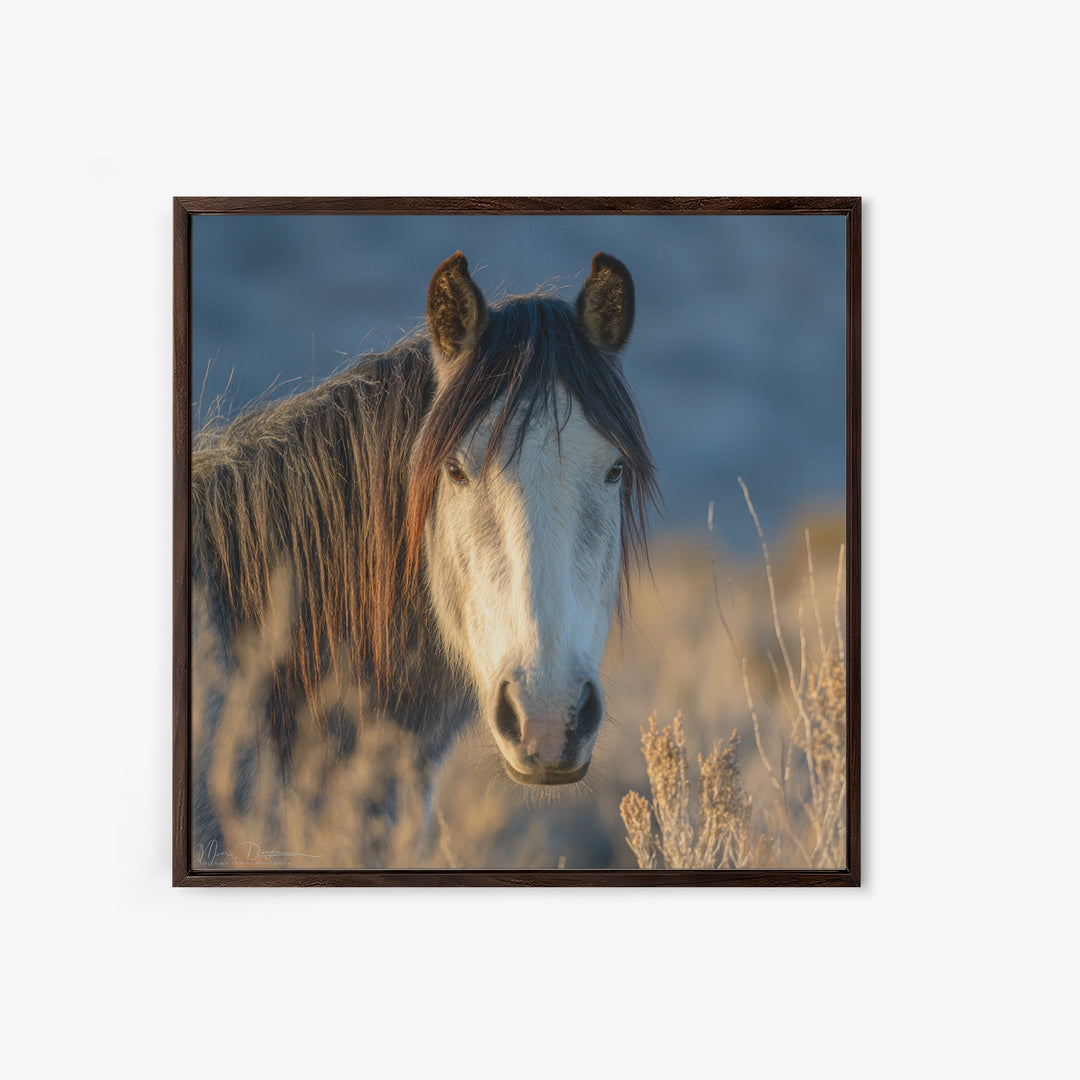 Wild Horse Portrait Framed Canvas Print, Wall Art, Boho Decor, Living Room Decor, Fine Art, Painting, Art Print, WAL-1x1-61