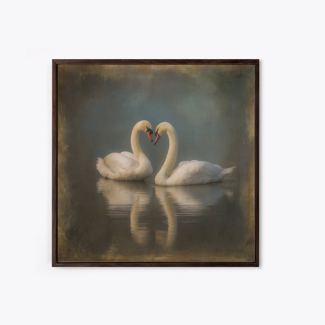 Two Swans Forming a Heart on Dark Canvas Print, Wedding Art, Unique Wedding Gift, Living Room Decor, Fine Art, Romance, WED-1x1-50