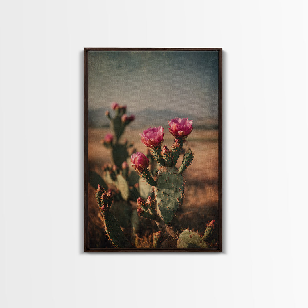 Prickly Pear Cactus Framed Canvas Print, Western Art, Modern Decor, Southwestern Decor, Fine Art, Frontier, Wall Decor, WES-2x3-24