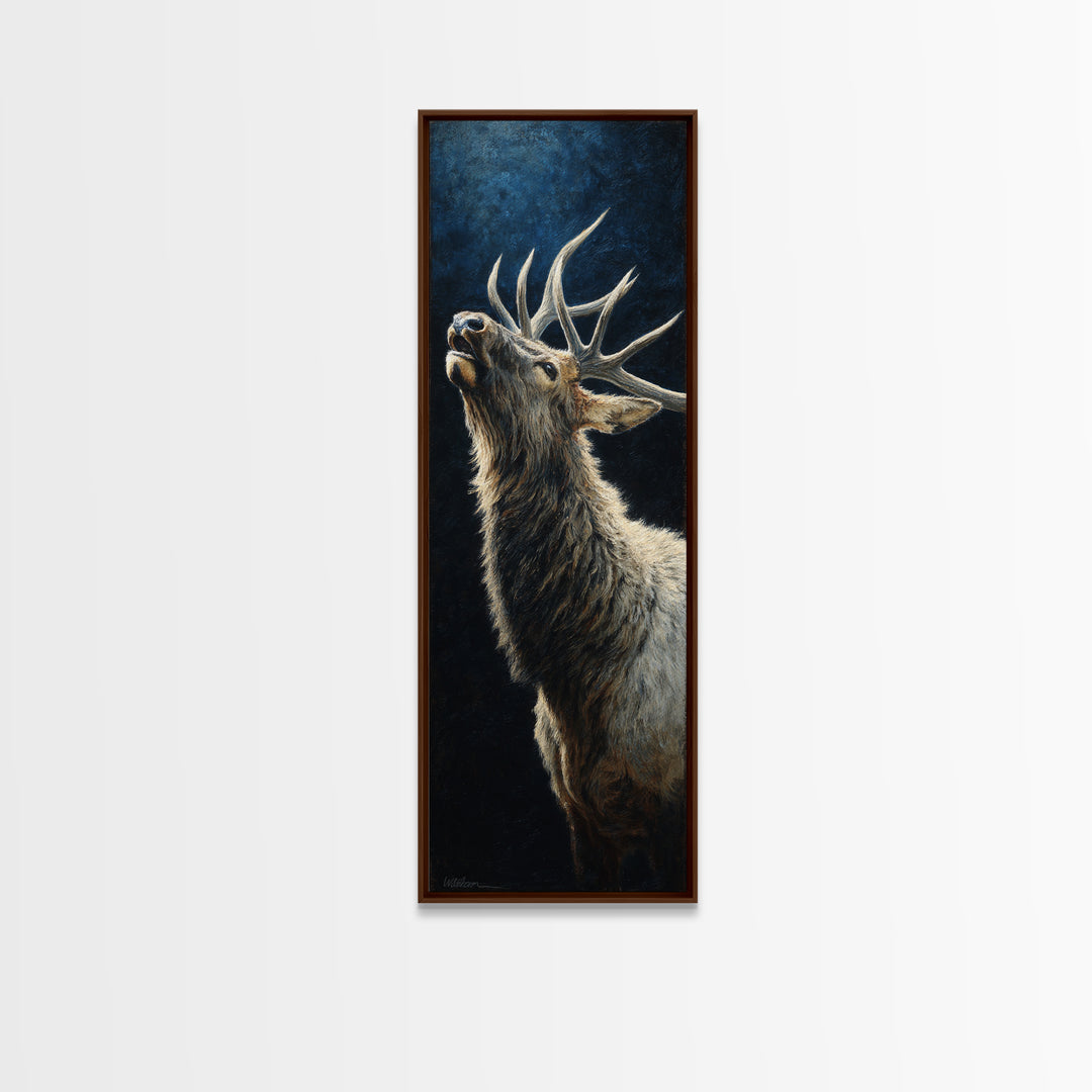 Bear Painting Stars Onto the Night Sky Canvas Print, Whimsical Art, Pet Portrait, Living Room Decor, Fine Art, Wonder, WHI-1x3-93