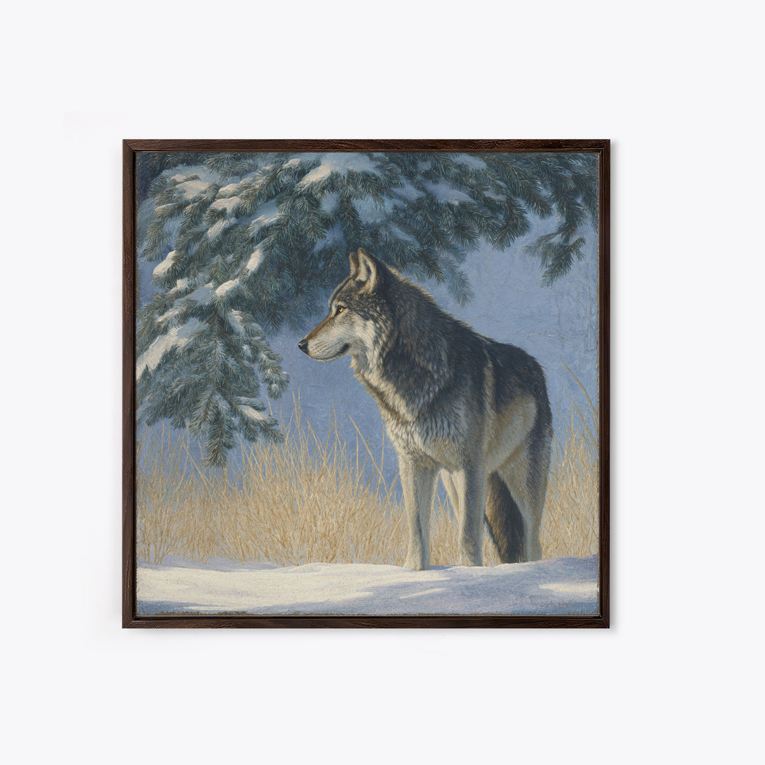 Wolf Standing Beneath Snowy Pine Trees Framed Canvas Print, Wildlife Art, Canvas Print, Living Room Decor, Fine Art, Wild, WIL-1x1-27