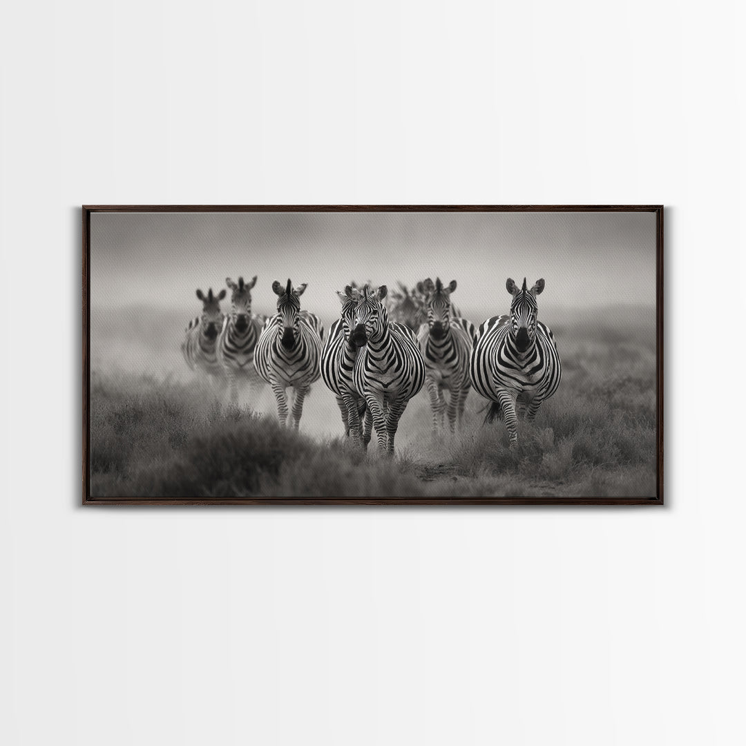 Zebra Herd in Graphic Black and White Framed Canvas Print, Wildlife Art, Boho Wall Decor, Living Room Decor, Fine Art, Wild, WIL-2x1-55