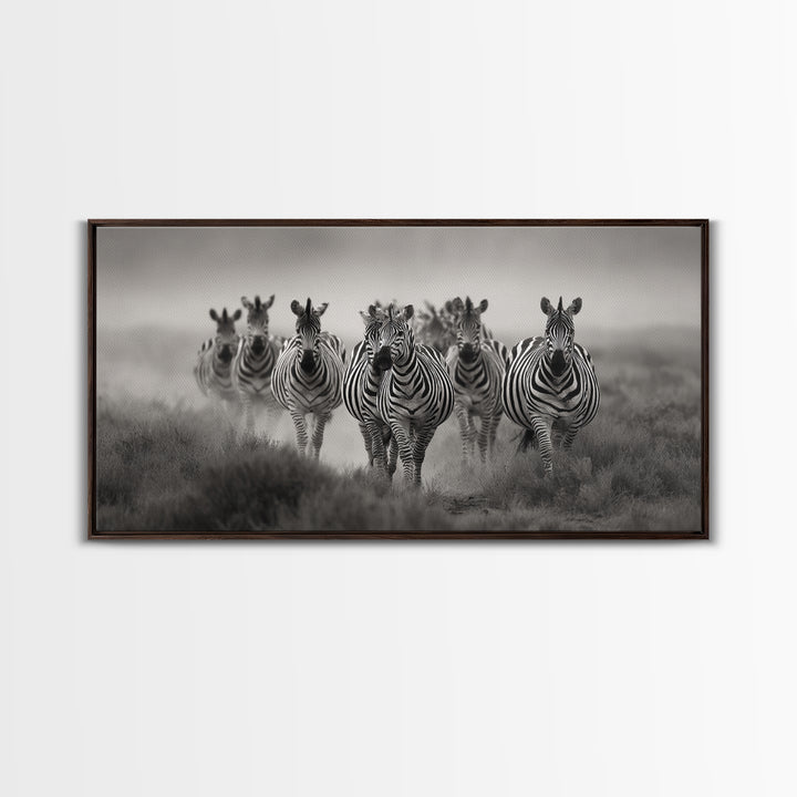 Zebra Herd in Graphic Black and White Framed Canvas Print, Wildlife Art, Boho Wall Decor, Living Room Decor, Fine Art, Wild, WIL-2x1-55