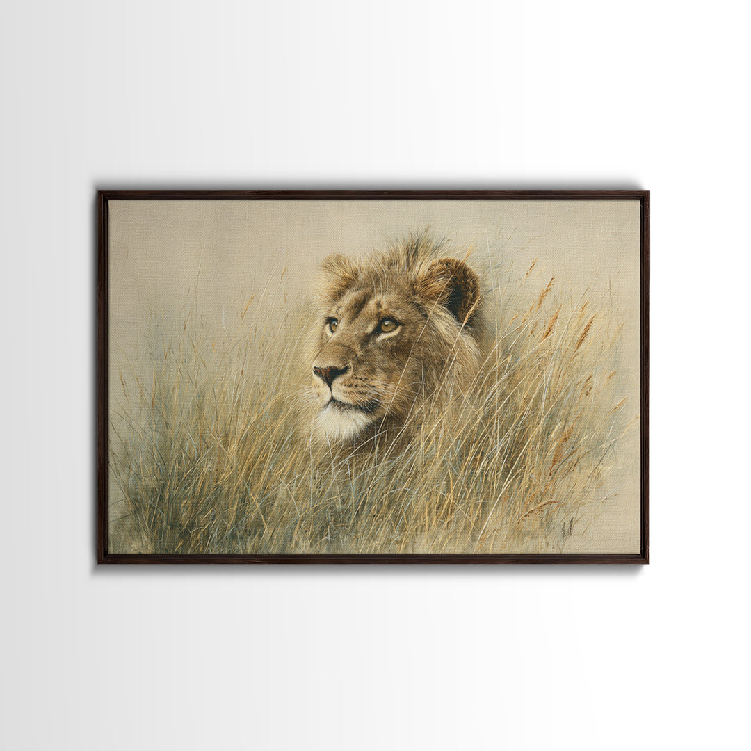 Lion Emerging from Golden Savanna Grass Framed Canvas Print, Wildlife Art, Gallery Decor, Living Room Decor, Fine Art, Wild, WIL-3x2-77