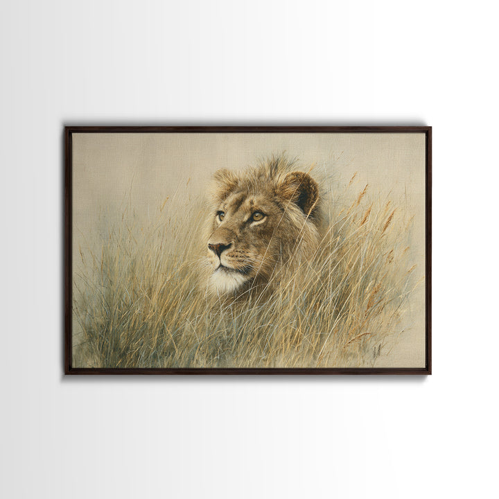 Lion Emerging from Golden Savanna Grass Framed Canvas Print, Wildlife Art, Gallery Decor, Living Room Decor, Fine Art, Wild, WIL-3x2-77