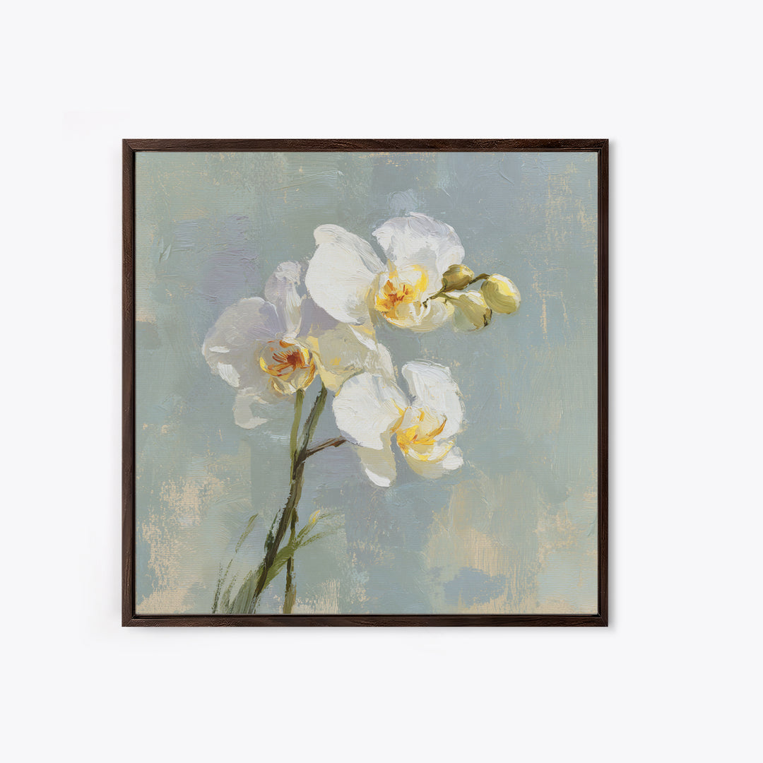 White Orchid on Light Gray Ground Canvas Print, Waiting Room Art, Office Wall Decor, Waiting Room Decor, Fine Art, Calm, WRA-1x1-31