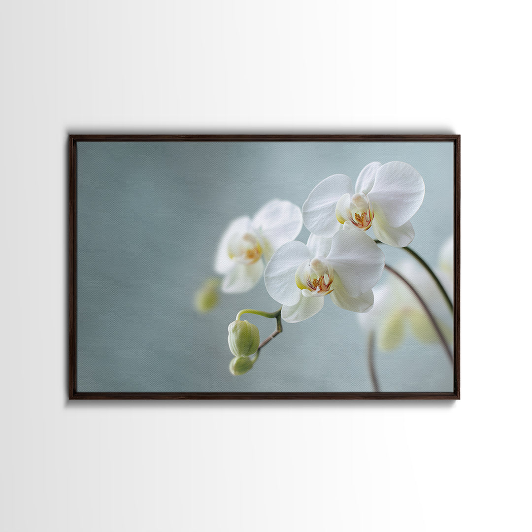 White Orchid on Light Gray Ground Canvas Print, Waiting Room Art, Digital Art Print, Waiting Room Decor, Fine Art, Calm, WRA-3x2-11