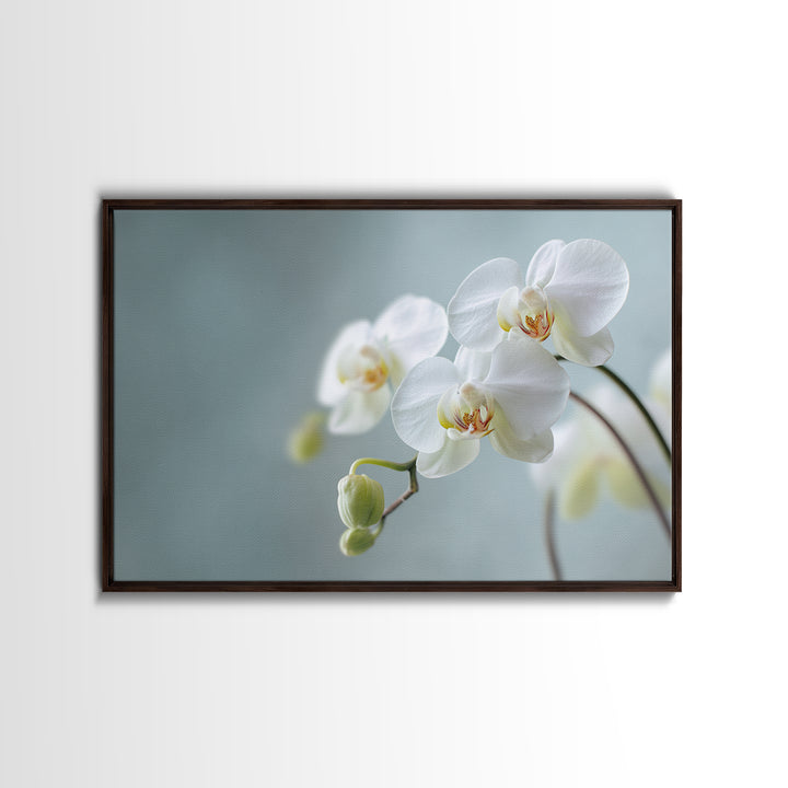 White Orchid on Light Gray Ground Canvas Print, Waiting Room Art, Digital Art Print, Waiting Room Decor, Fine Art, Calm, WRA-3x2-11