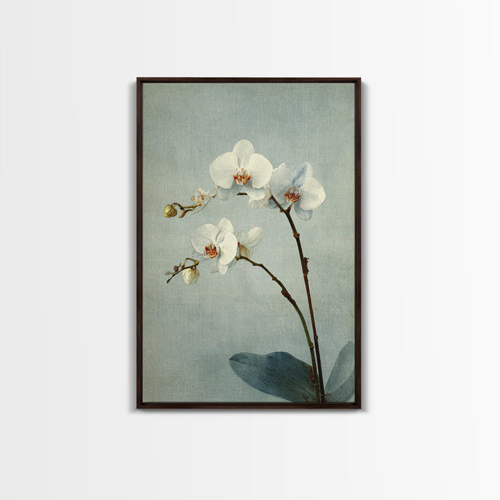 Single Orchid Stem Canvas Print, Zen Art, Art, Living Room Decor, Fine Art, Zen, Garden Art, Japanese Wall Art, Boho Wall Decor, ZEN-2x3-7
