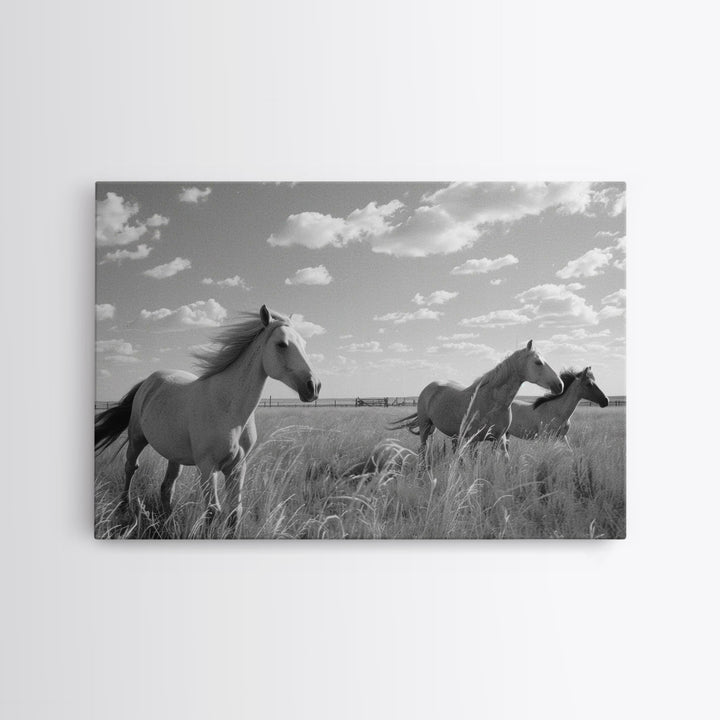 Fine Art Framed Canvas Print, Metal Art, Black & White Photo of Wild Mustangs, Horse Art, American Horses Landscape / Nature / Wildlife Art