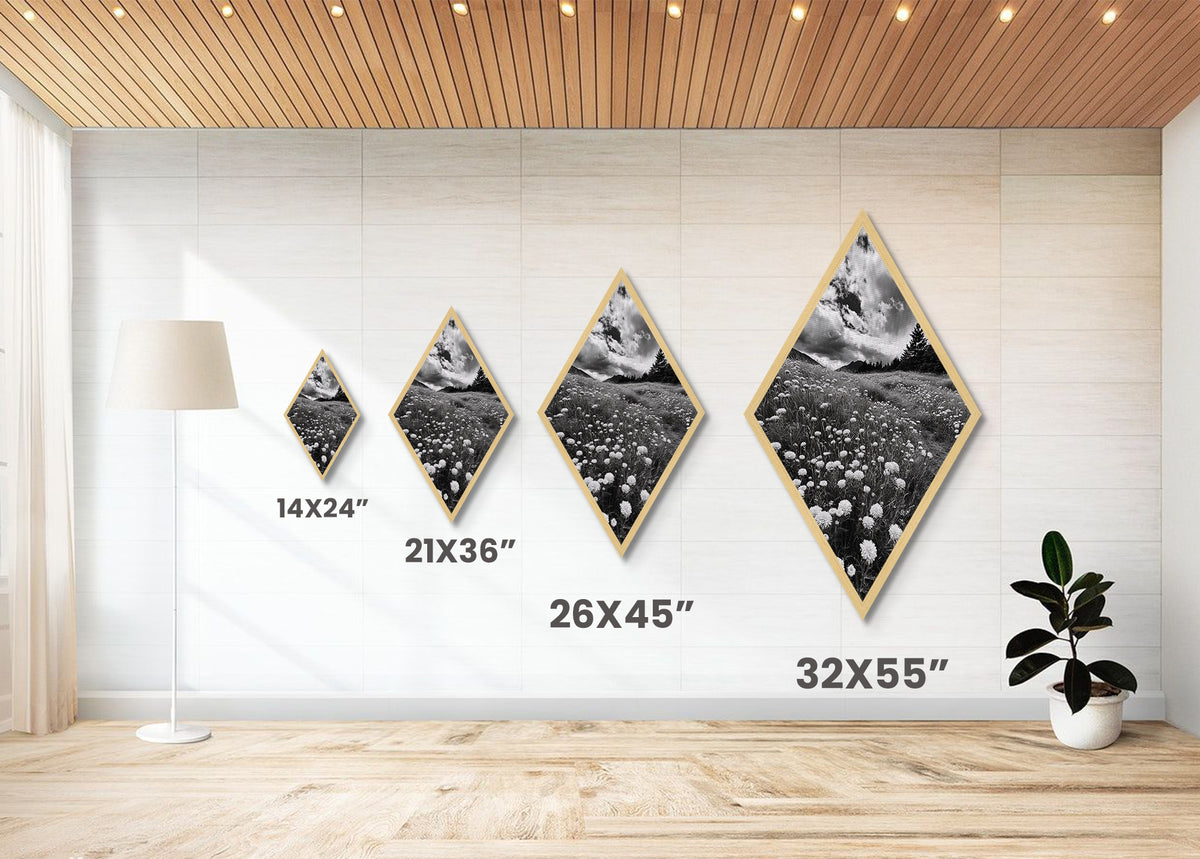 Black White Meadow Diamond Shaped Canvas Art Print, Monochrome Nature Photography, Wildflower Landscape Rustic Wall Decor