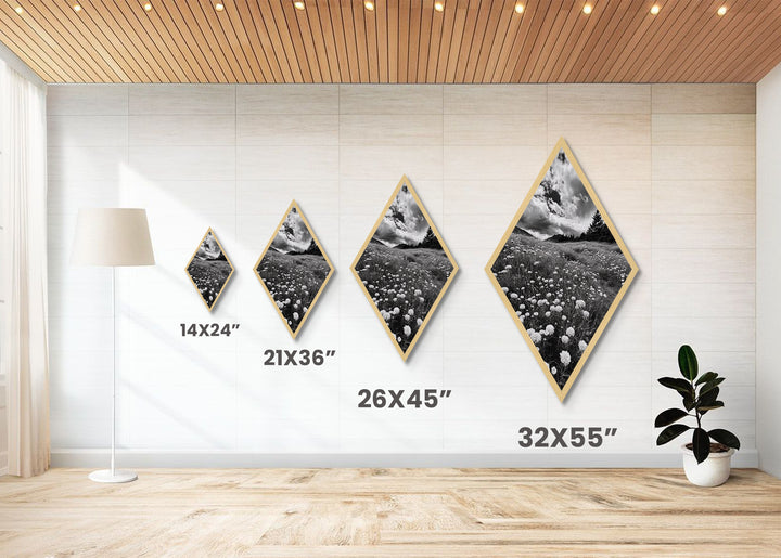 Black White Meadow Diamond Shaped Canvas Art Print, Monochrome Nature Photography, Wildflower Landscape Rustic Wall Decor