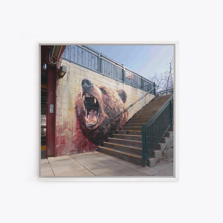 Roaring Bear Urban Stairway Mural Wall Art, Graffiti Canvas Print, Wildlife Decor, Street Art Gift For Animal Lover, Home Decor