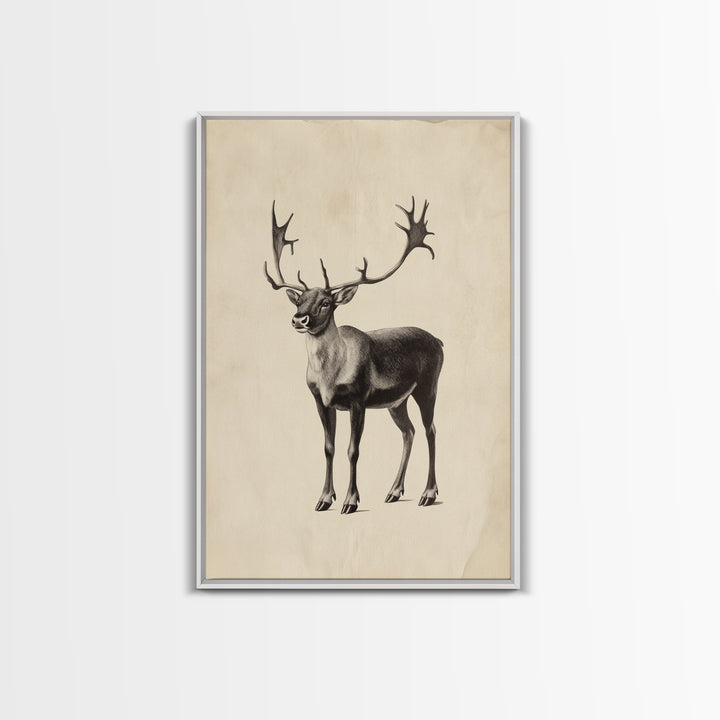 Reindeer Canvas Print - Framed Canvas - Minimalist Christmas Art - Boho Christmas Art - Rustic Christmas Art
