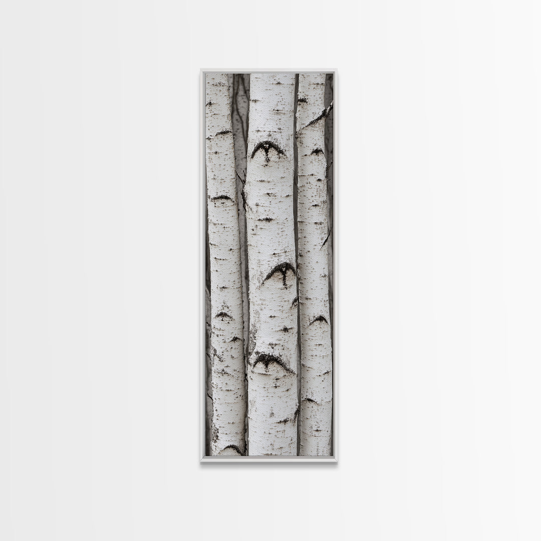 Classic Birch Trees Black and White Wall Art Framed Canvas Print Rustic Farmhouse Art Tall Narrow Art Guest Room Decor