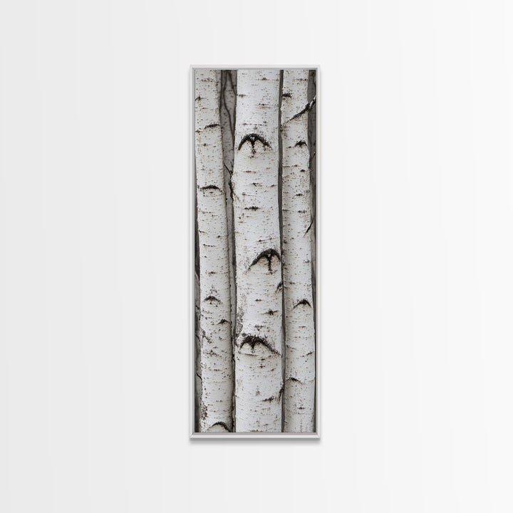 Classic Birch Trees Black and White Wall Art Framed Canvas Print Rustic Farmhouse Art Tall Narrow Art Guest Room Decor