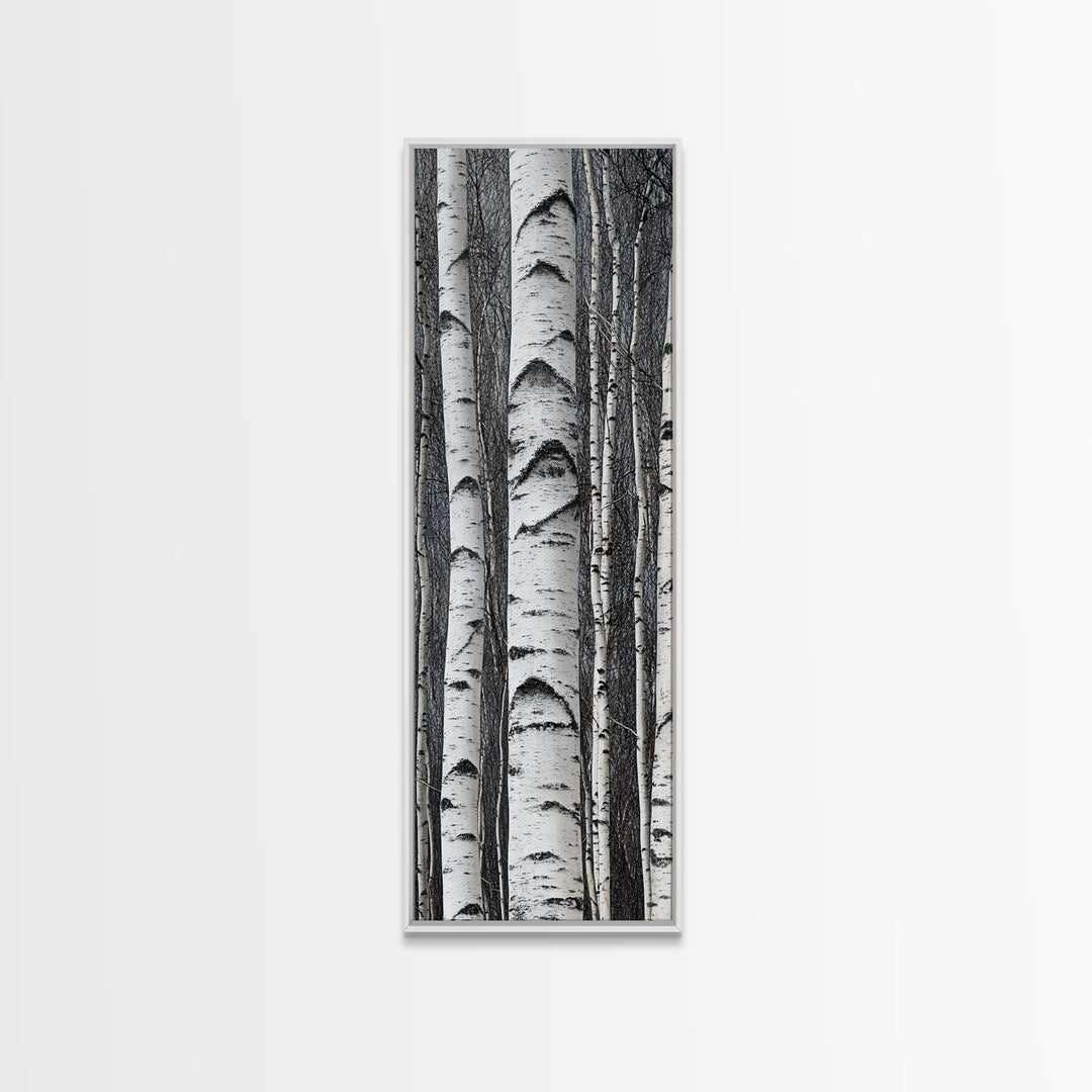 Birch Tree Forest Framed Canvas Print Rustic Nature Wall Art Farmhouse Rustic Bedroom or Living Room Decor