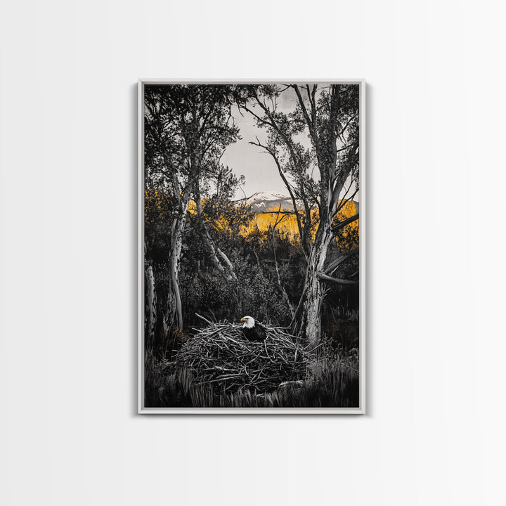 Bald Eagle Nest Art, Black White Forest, Yellow Fall Trees, Wildlife Nature Decor, Rustic Lodge Wall Art, Living Room Art, Canvas Print