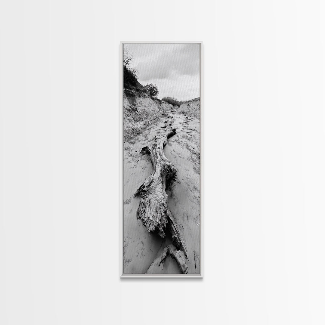 Driftwood, Nature Path, Earthy Decor, Rustic Home Style, Framed Canvas Print, Living Room Wall Art, Natural Landscape Photography