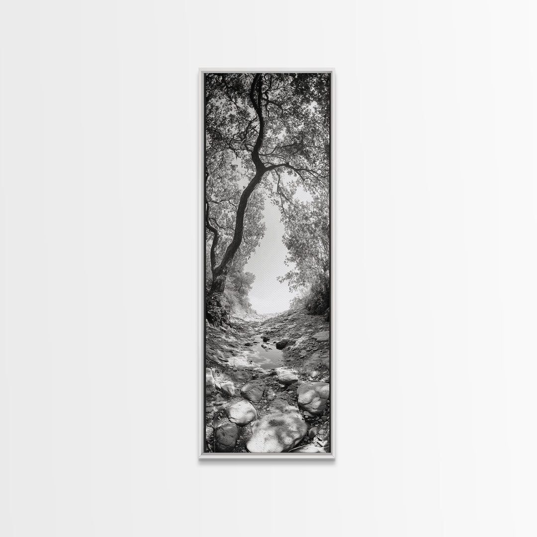 Forest Path, Rock Creek, Canopy Light, Calm Nature Scene, Canvas Print, Entryway Wall Art, Tranquil Minimalist Landscape Print